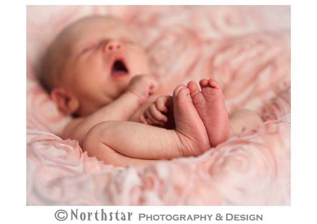 Farmington Hills MI Newborn Photography